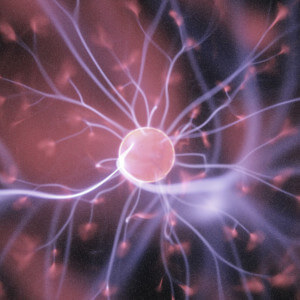 Biomagnetism Magnetterapi och Biomagnetism